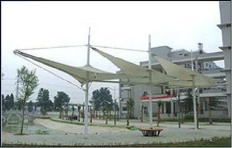 С�^(q��)���^����Ĥ